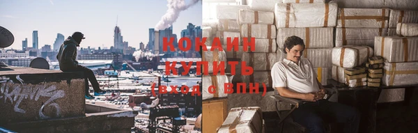 дмт Кодинск