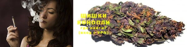 дмт Кодинск