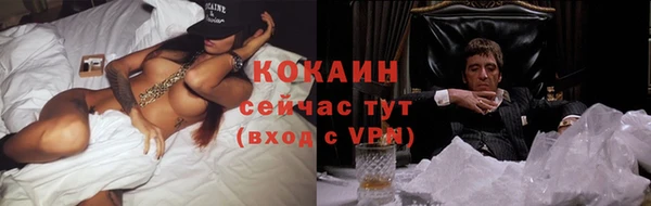 дмт Кодинск