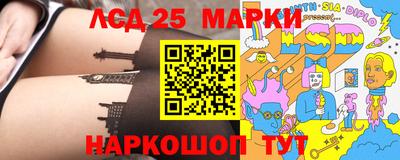 шишки Кандалакша