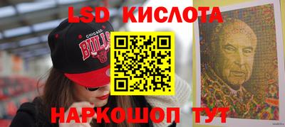 шишки Кандалакша