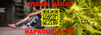 гидропоника Камышлов