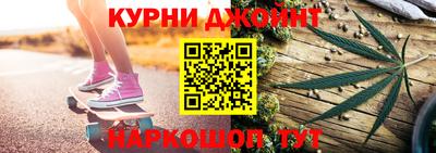 гидропоника Камышлов