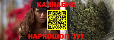 шишки Кандалакша