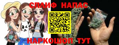 шишки Кандалакша