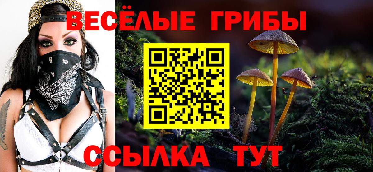 Галлюциногенные грибы прущие грибы Красный Сулин