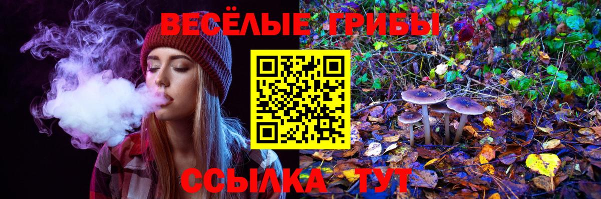 Красный Сулин  Псилоцибиновые грибы Psilocybe  Вход с VPN 